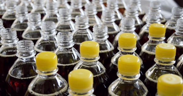 Taking Your Food Processing Plant to the Next Level of Production